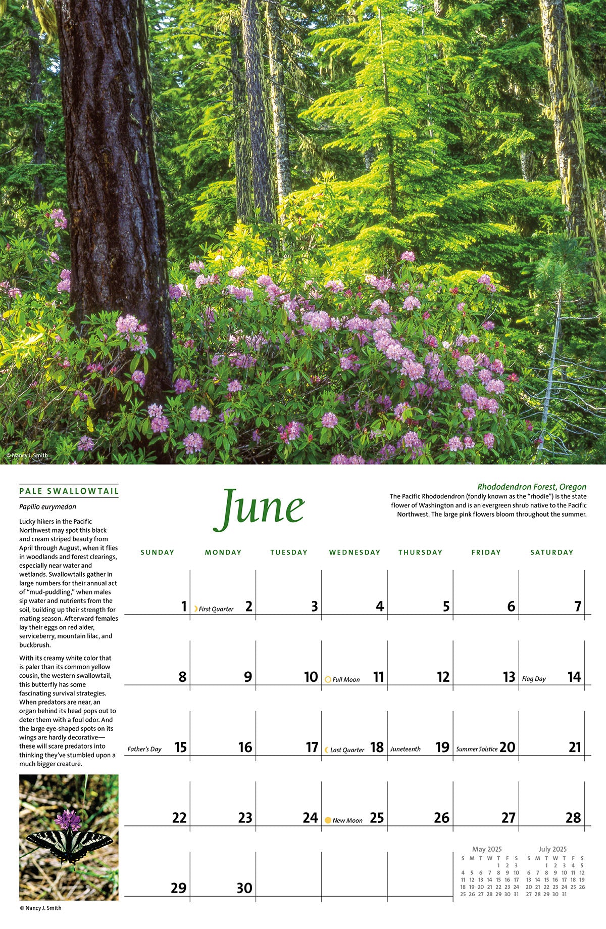 June calendar layout. Head image of Rhododendron forest, Oregon. Layout image of Pale Swallowtail butterfly.