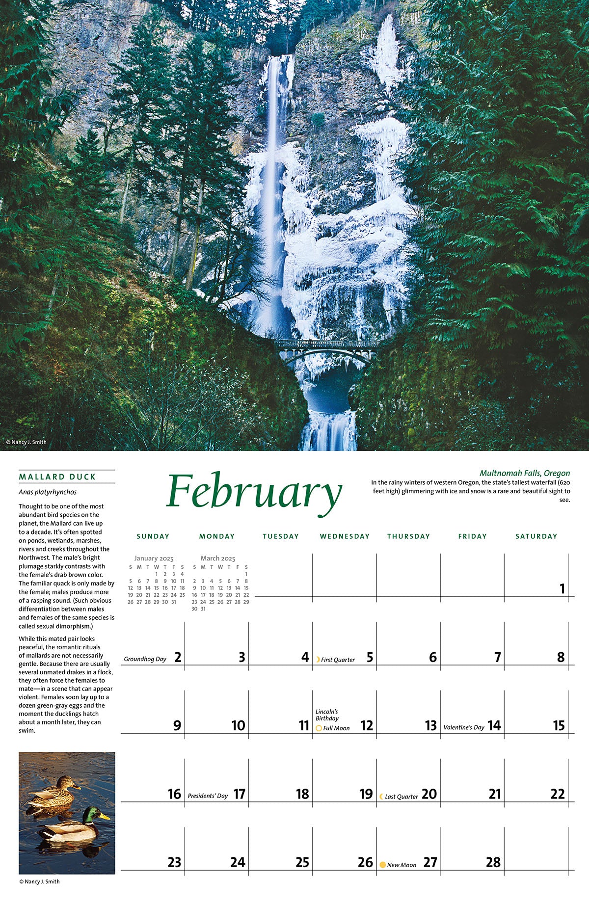 February calendar layout. Head image shows winter scene of Columbia River Gorge's Multnomah Falls in Oregon. Layout image shows two Mallard ducks in water.
