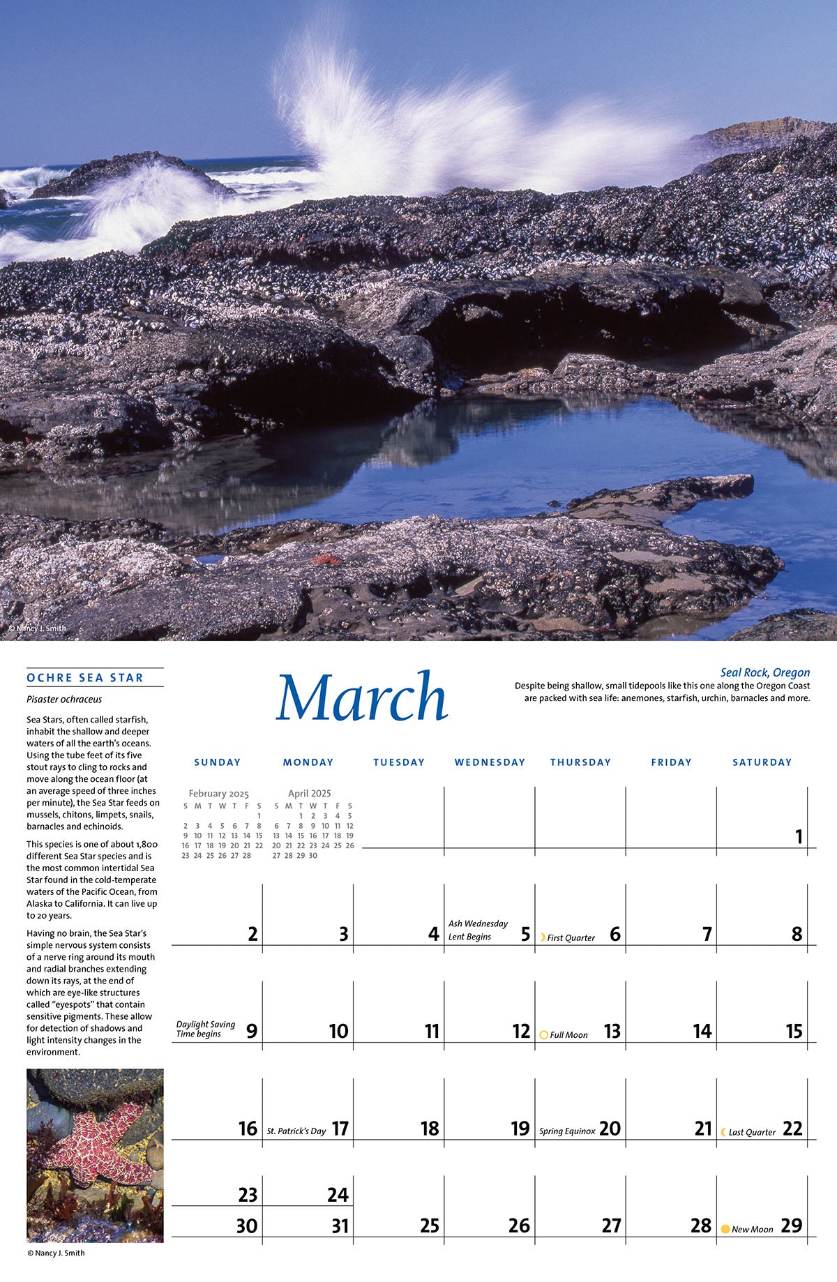 March calendar layout. Head image of Seal Rock, Oregon Coast. Layout image of Purple Ochre sea star.