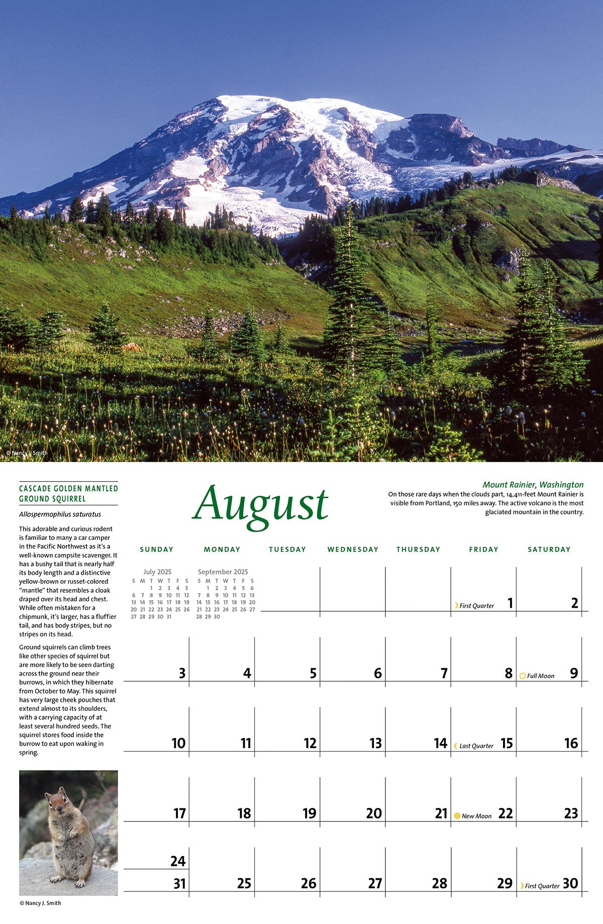 August calendar layout. Head image of Mount Rainier, Washington. Layout image of Cascade Golden Mantled Ground Squirrel.