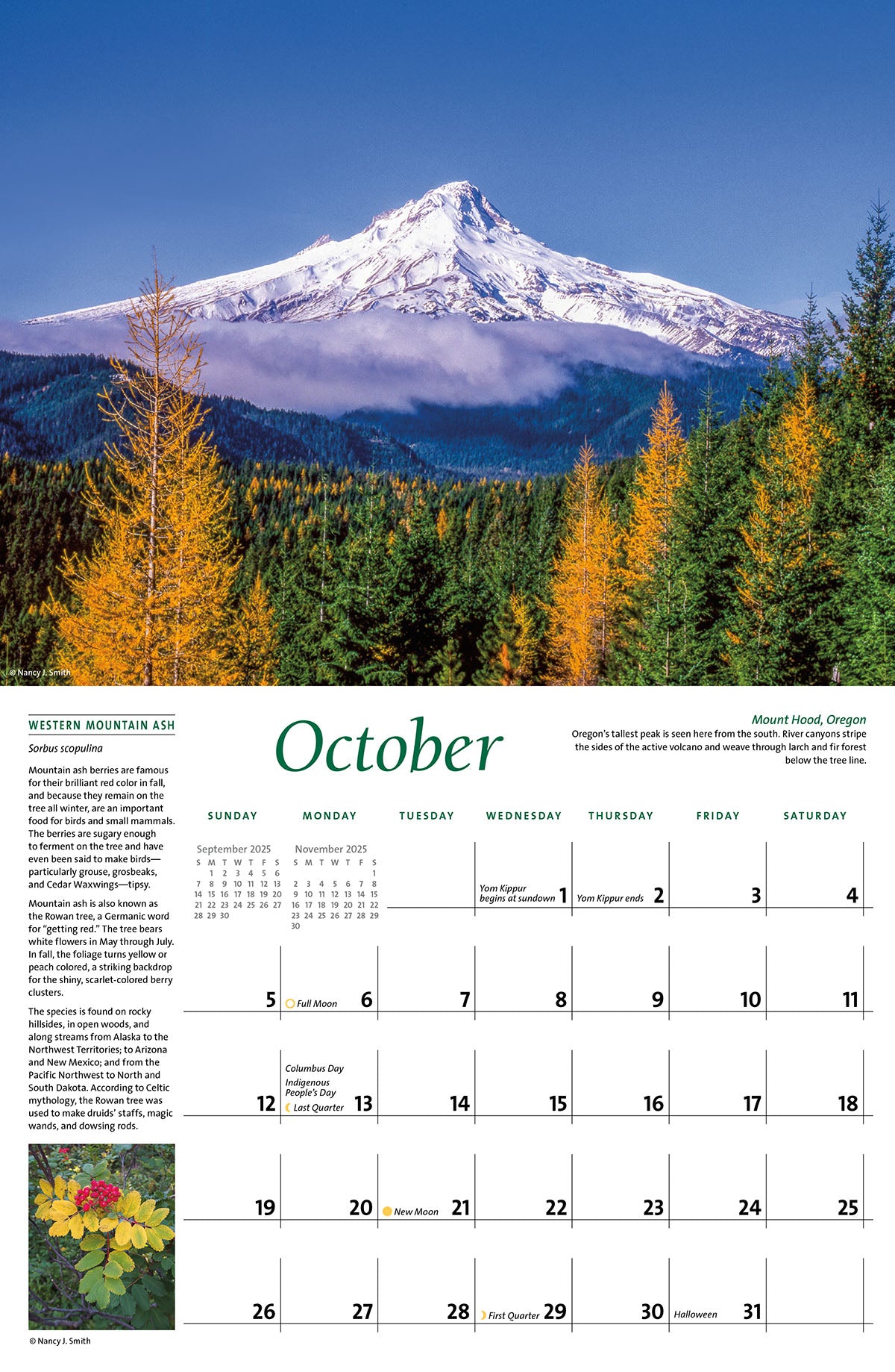 October calendar layout. Head image of Mount Hood, Oregon. Layout image of Western Mountain Ash plant.