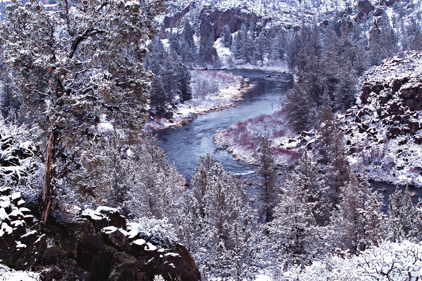 The Deschutes River cuts through a Wintery scene in the high desert in Oregon. Snow laced Juniper trees and Western Dogwood sit on rocky riverbanks.