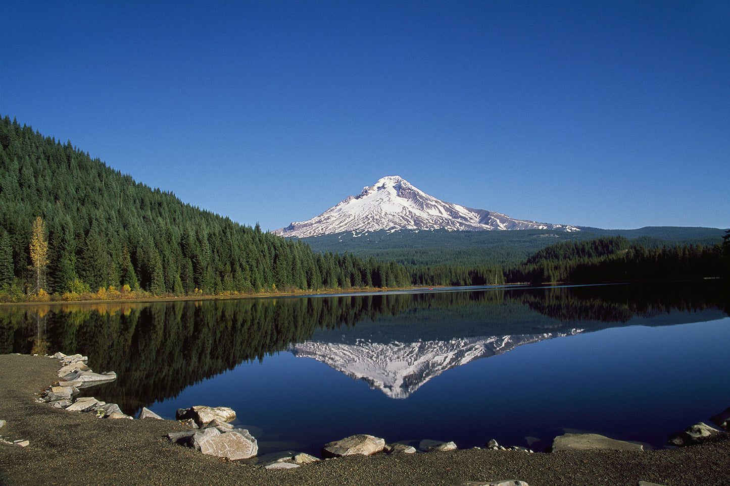 Mt. Hood emerges into a clear blue sky, and is mirrored in reflection below by Trillium Lake in Oregon.