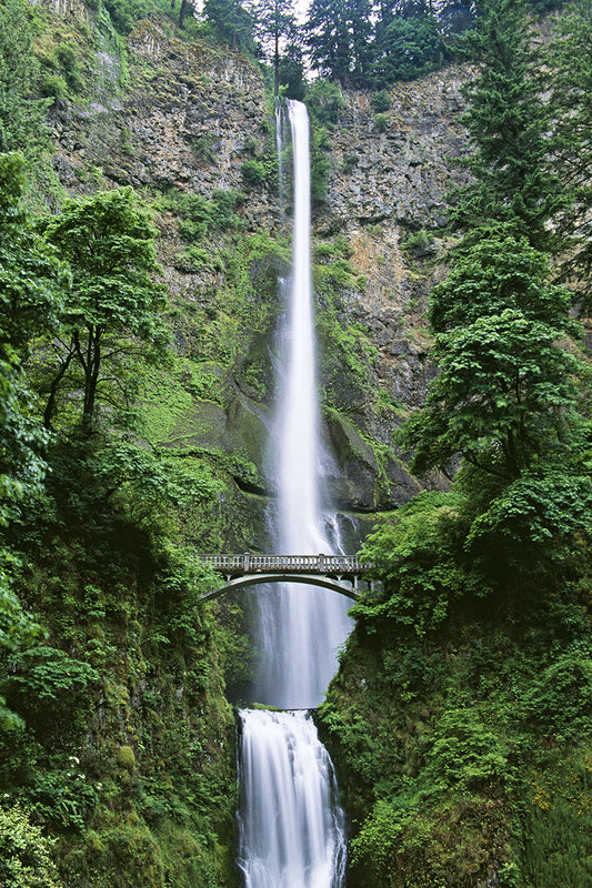2153 Multnomah Falls vertical