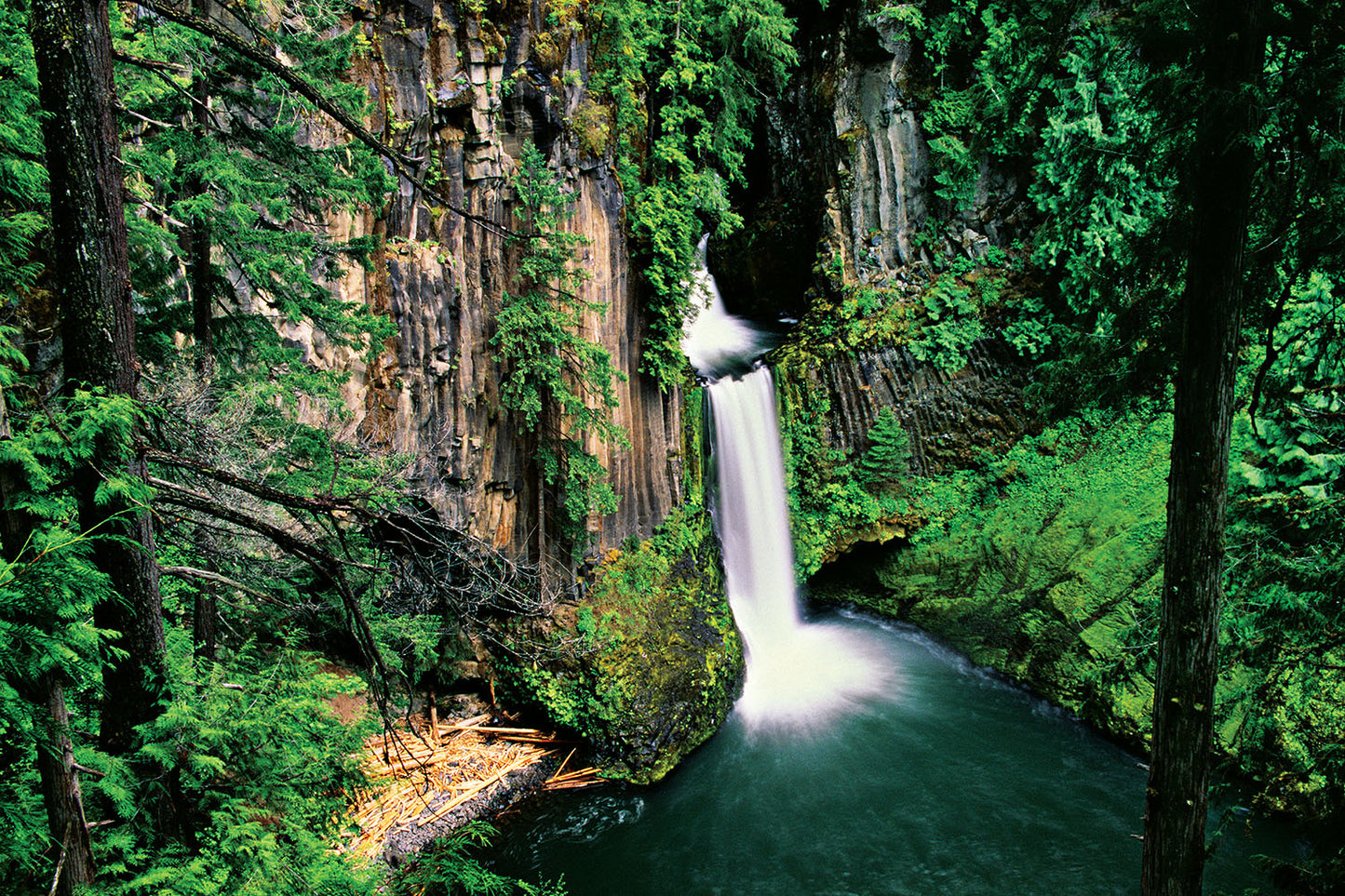 Surrounded by green moss and trees, Toketee Falls cascades into a pool below. North Umpqua River, Oregon.