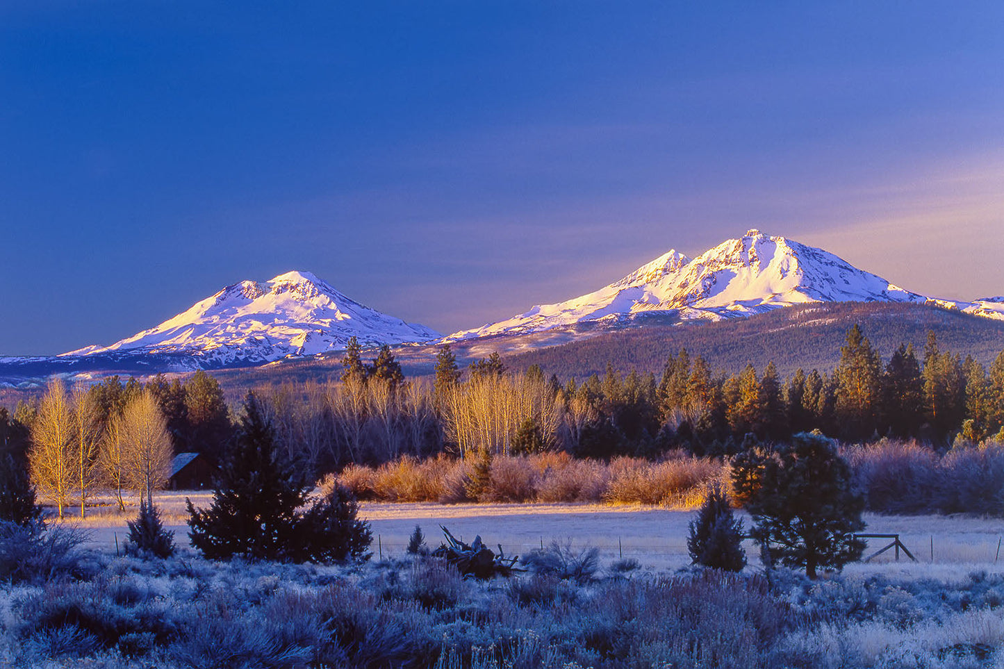 The Three Sisters mountains stand close together on a clear Winter morning near Sisters, Oregon. Snow covers the mountains as frost dusts shrubbery in the foreground.