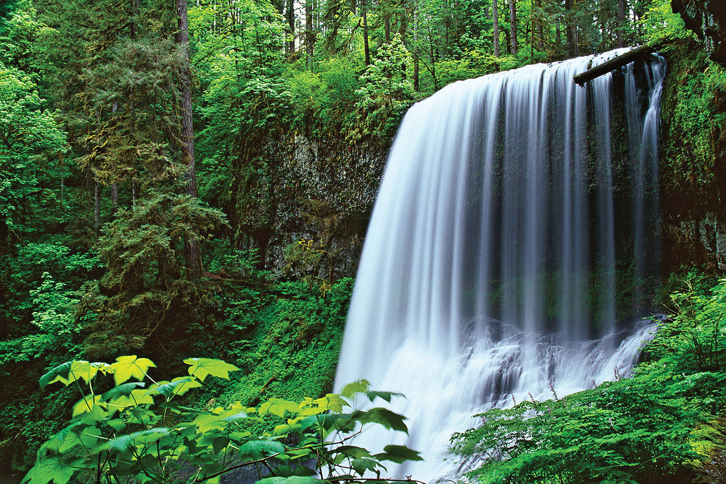Surrounded by green moss and foliage, gentle waters cascade down North Middle Falls in Silver Falls State Park, Oregon.