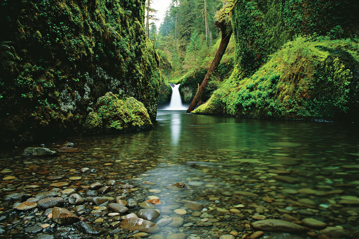 Water cascades over Punch Bowl Falls in the distance, surrounded by rough, green, moss covered cliffs in the Columbia River Gorge.