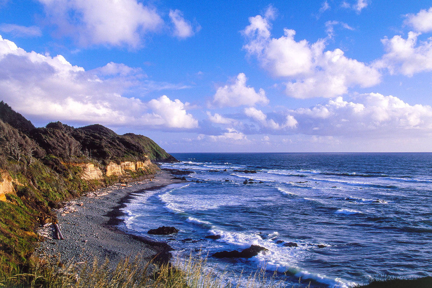 A sunny day strikes the rugged coastline near Strawberry Hill, Oregon. Waves roll onto the beach and clouds drift through blue sky.