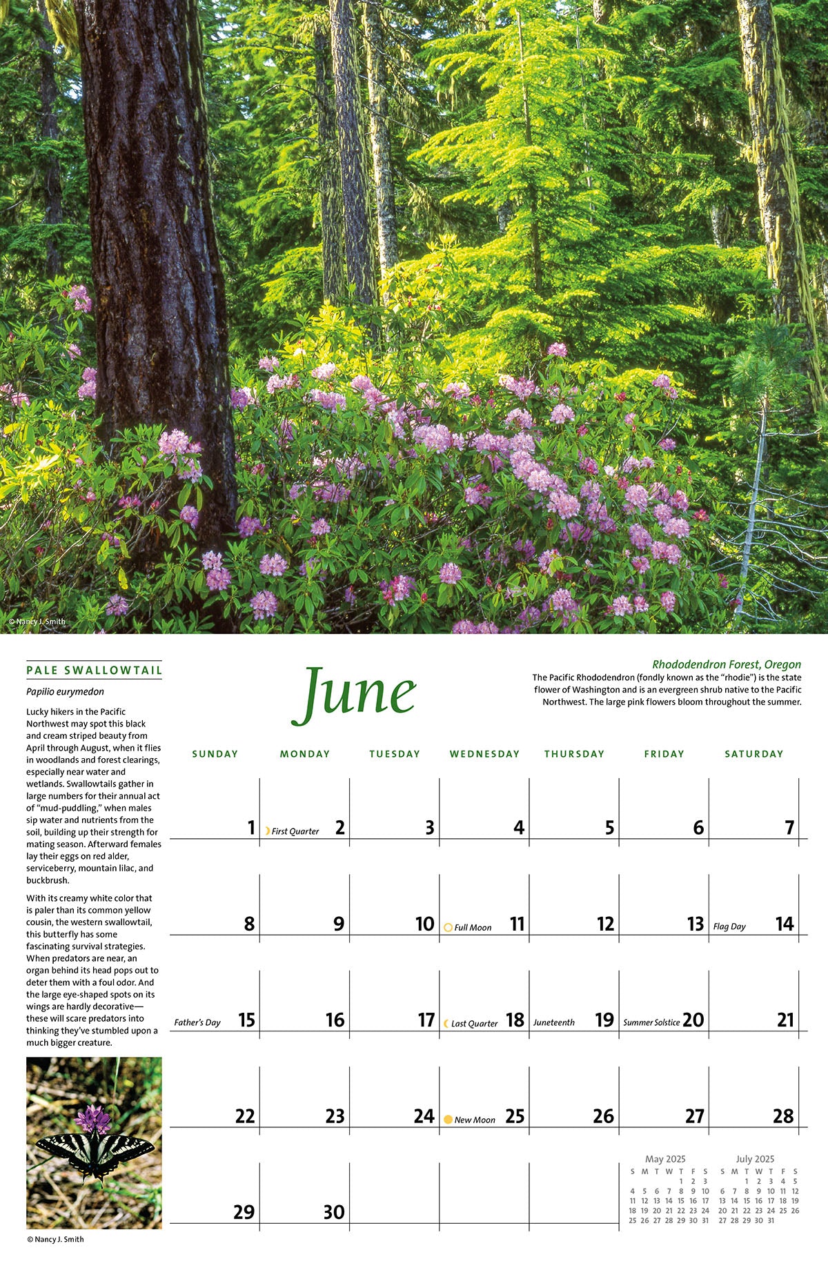 2025 Majestic Pacific Northwest Calendar Month