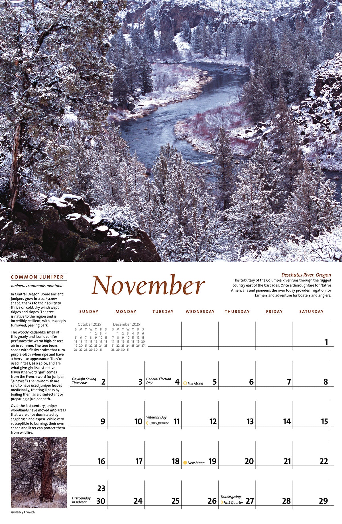 Majestic Pacific Northwest 2025 Calendar