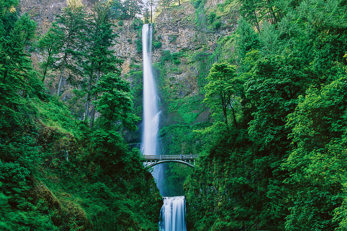 0013 Multnomah Falls in Spring